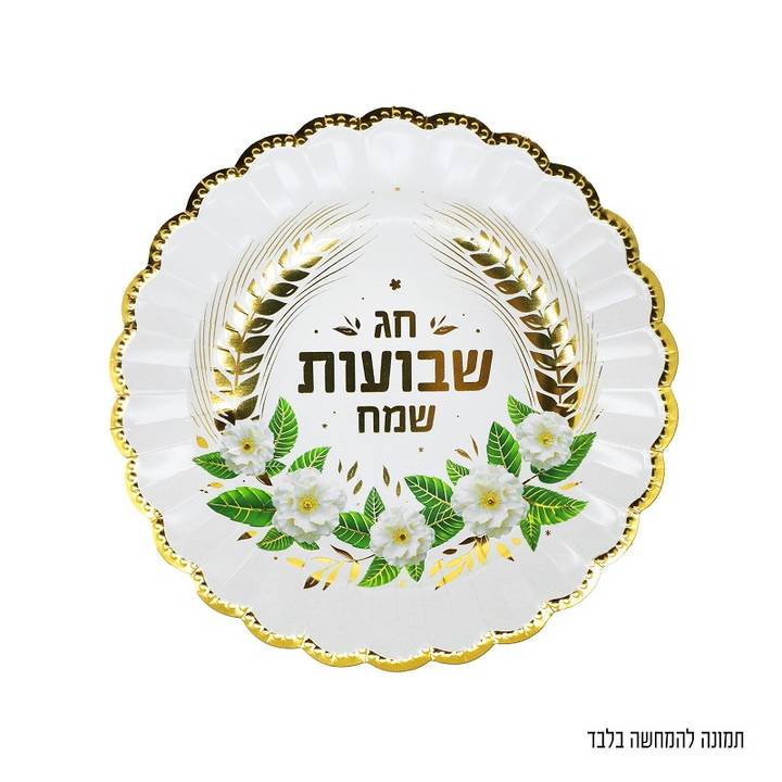 10 צלחות שבועות שמח קוטר 25 ס"מ