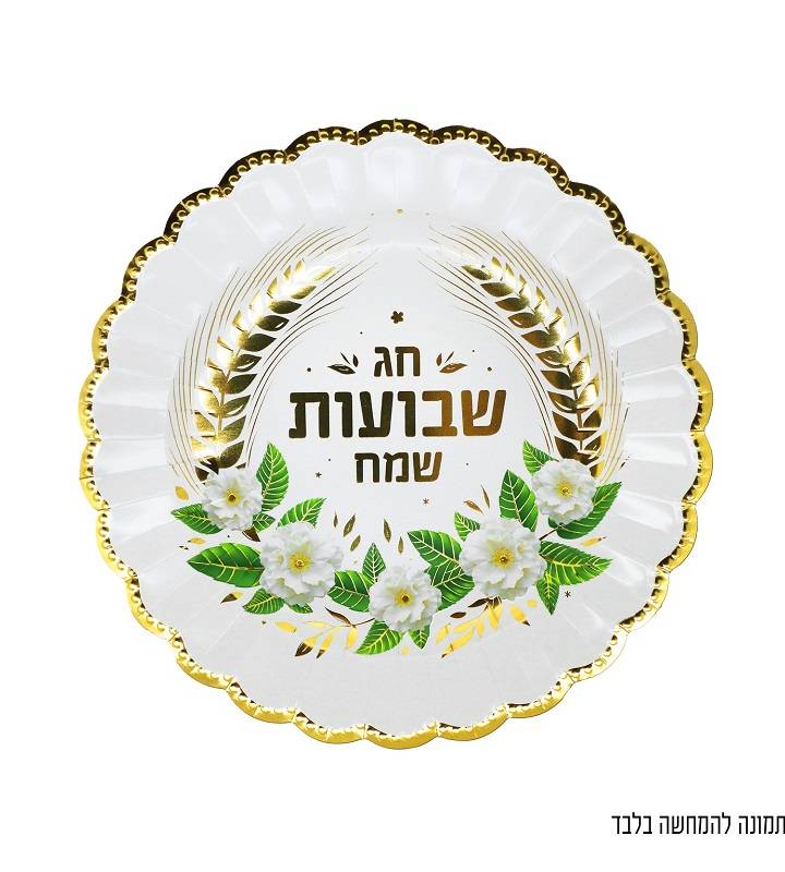 10 צלחות שבועות שמח קוטר 25 ס"מ