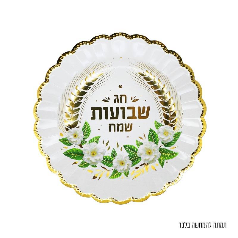 10 צלחות שבועות שמח קוטר 25 ס"מ